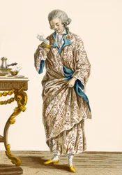 プリントされた綿のドレッシングガウン、Patasによって刻まれた、「Galeries des Modes et Costumes Francais」c.1778-87のプレートno.140